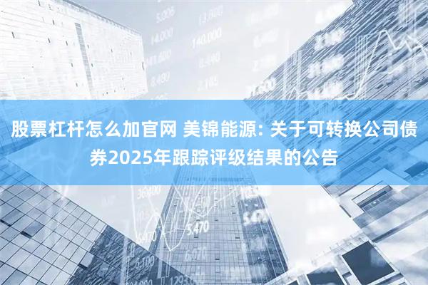 股票杠桿怎么加官網 美錦能源: 關于可轉換公司債券2025年跟蹤評級結果的公告
