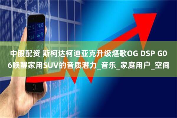 中股配資 斯柯達(dá)柯迪亞克升級(jí)熰歌OG DSP G06喚醒家用SUV的音質(zhì)潛力_音樂(lè)_家庭用戶(hù)_空間