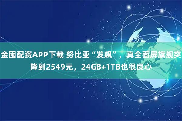 金囤配資APP下載 努比亞“發飆”，真全面屏旗艦突降到2549元，24GB+1TB也很良心